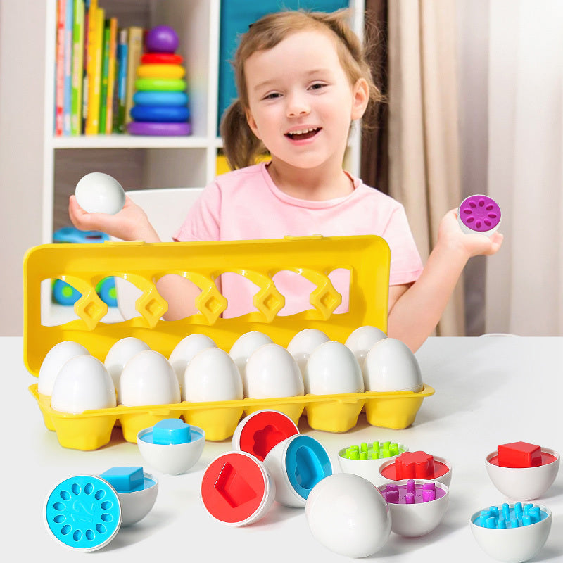 Montessori Child Learning Egg Matching Carton - For Shape Matching Sorting Toys